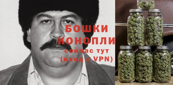 МДМА Ельня