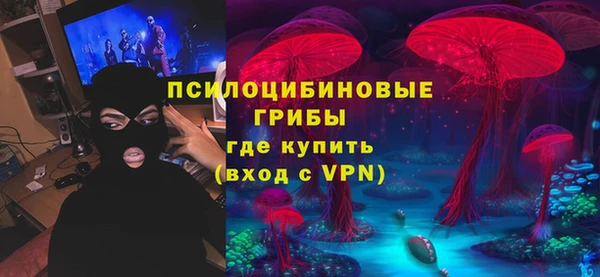 ПСИЛОЦИБИНОВЫЕ ГРИБЫ Елабуга
