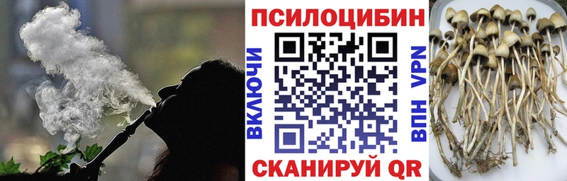 Псилоцибиновые грибы Psilocybine cubensis  Инза 